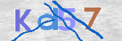 CAPTCHA (Şahıs Denetim Kodu) Resmi