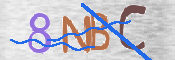 CAPTCHA (Şahıs Denetim Kodu) Resmi