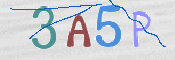 CAPTCHA (Şahıs Denetim Kodu) Resmi