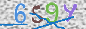 CAPTCHA (Şahıs Denetim Kodu) Resmi