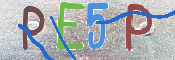 CAPTCHA (Şahıs Denetim Kodu) Resmi