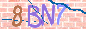 CAPTCHA (Şahıs Denetim Kodu) Resmi