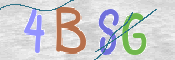 CAPTCHA (Şahıs Denetim Kodu) Resmi
