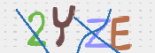 CAPTCHA (Şahıs Denetim Kodu) Resmi