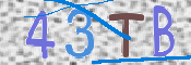 CAPTCHA (Şahıs Denetim Kodu) Resmi