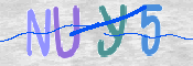 CAPTCHA (Şahıs Denetim Kodu) Resmi