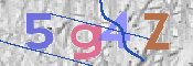 CAPTCHA (Şahıs Denetim Kodu) Resmi