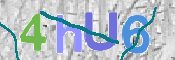 CAPTCHA (Şahıs Denetim Kodu) Resmi