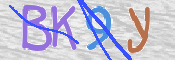 CAPTCHA (Şahıs Denetim Kodu) Resmi
