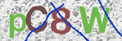 CAPTCHA (Şahıs Denetim Kodu) Resmi