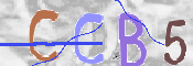 CAPTCHA (Şahıs Denetim Kodu) Resmi