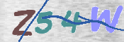 CAPTCHA (Şahıs Denetim Kodu) Resmi