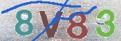 CAPTCHA (Şahıs Denetim Kodu) Resmi