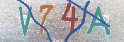 CAPTCHA (Şahıs Denetim Kodu) Resmi