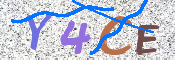 CAPTCHA (Şahıs Denetim Kodu) Resmi