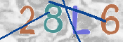CAPTCHA (Şahıs Denetim Kodu) Resmi