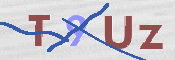 CAPTCHA (Şahıs Denetim Kodu) Resmi