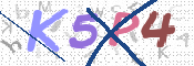 CAPTCHA (Şahıs Denetim Kodu) Resmi