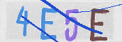 CAPTCHA (Şahıs Denetim Kodu) Resmi