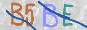 CAPTCHA (Şahıs Denetim Kodu) Resmi