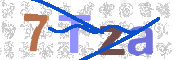 CAPTCHA (Şahıs Denetim Kodu) Resmi