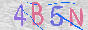 CAPTCHA (Şahıs Denetim Kodu) Resmi