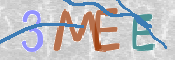 CAPTCHA (Şahıs Denetim Kodu) Resmi