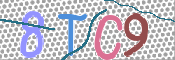 CAPTCHA (Şahıs Denetim Kodu) Resmi