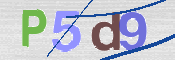 CAPTCHA (Şahıs Denetim Kodu) Resmi