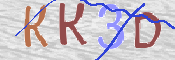 CAPTCHA (Şahıs Denetim Kodu) Resmi