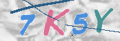 CAPTCHA (Şahıs Denetim Kodu) Resmi