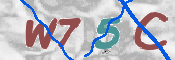 CAPTCHA (Şahıs Denetim Kodu) Resmi