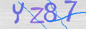 CAPTCHA (Şahıs Denetim Kodu) Resmi
