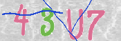 CAPTCHA (Şahıs Denetim Kodu) Resmi