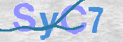 CAPTCHA (Şahıs Denetim Kodu) Resmi