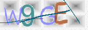 CAPTCHA (Şahıs Denetim Kodu) Resmi
