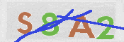 CAPTCHA (Şahıs Denetim Kodu) Resmi