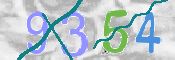 CAPTCHA (Şahıs Denetim Kodu) Resmi