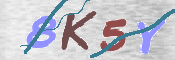 CAPTCHA (Şahıs Denetim Kodu) Resmi