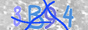 CAPTCHA (Şahıs Denetim Kodu) Resmi
