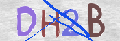 CAPTCHA (Şahıs Denetim Kodu) Resmi