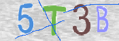 CAPTCHA (Şahıs Denetim Kodu) Resmi