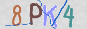 CAPTCHA (Şahıs Denetim Kodu) Resmi