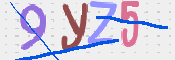 CAPTCHA (Şahıs Denetim Kodu) Resmi