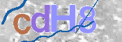 CAPTCHA (Şahıs Denetim Kodu) Resmi