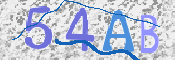 CAPTCHA (Şahıs Denetim Kodu) Resmi