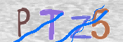 CAPTCHA (Şahıs Denetim Kodu) Resmi