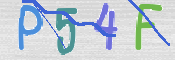 CAPTCHA (Şahıs Denetim Kodu) Resmi