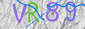 CAPTCHA (Şahıs Denetim Kodu) Resmi