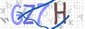CAPTCHA (Şahıs Denetim Kodu) Resmi